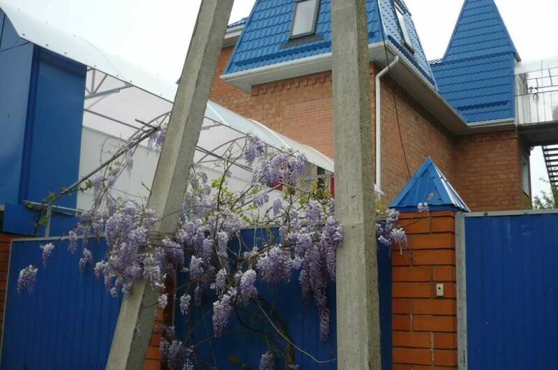 Гостевая усадьба «Александр»