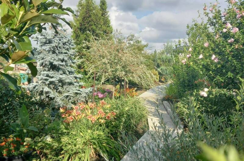 Гостевой дом «Клевер»