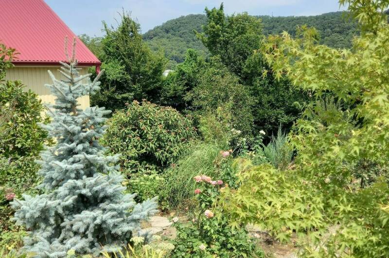 Гостевой дом «Клевер»