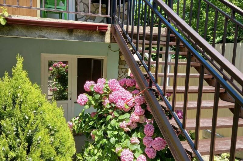 Гостевой дом «Клевер»