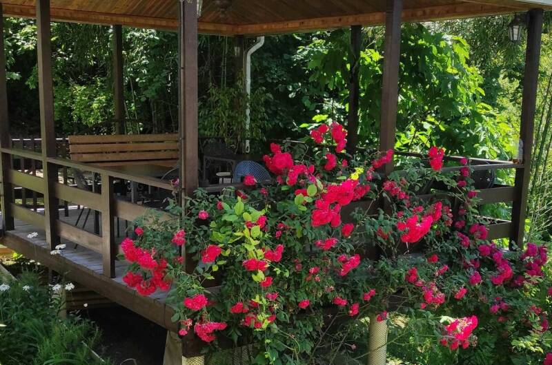 Гостевой дом «Анжелика»