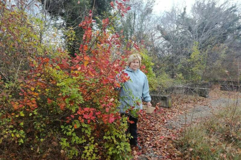 Частный сектор «АнВаЛиЯ»