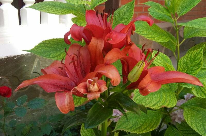 Гостевой дом «11 регион»