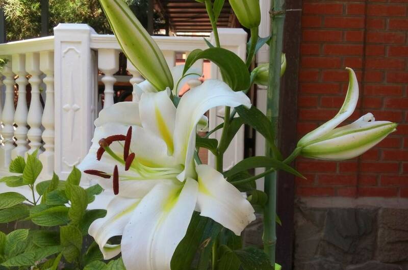 Гостевой дом «11 регион»