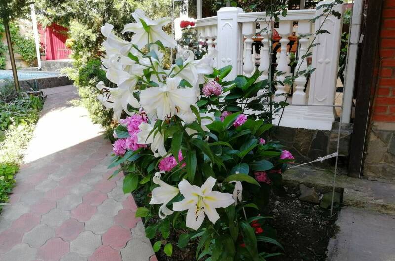 Гостевой дом «11 регион»