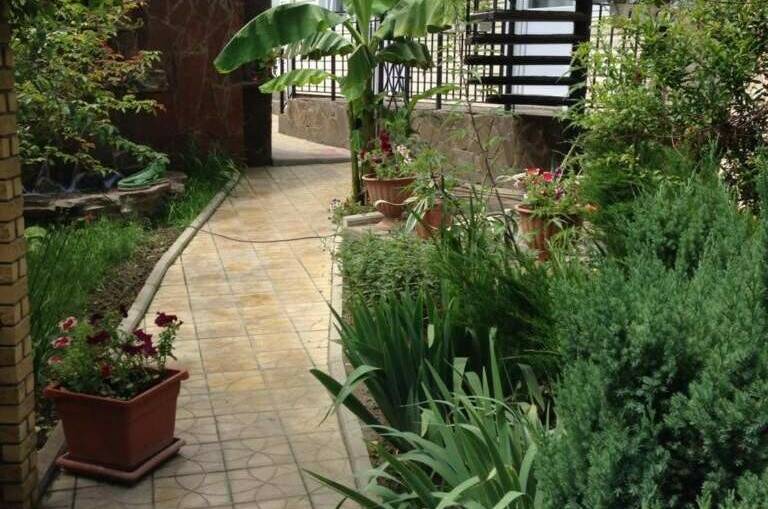 Гостевой дом «У Дмитрия»