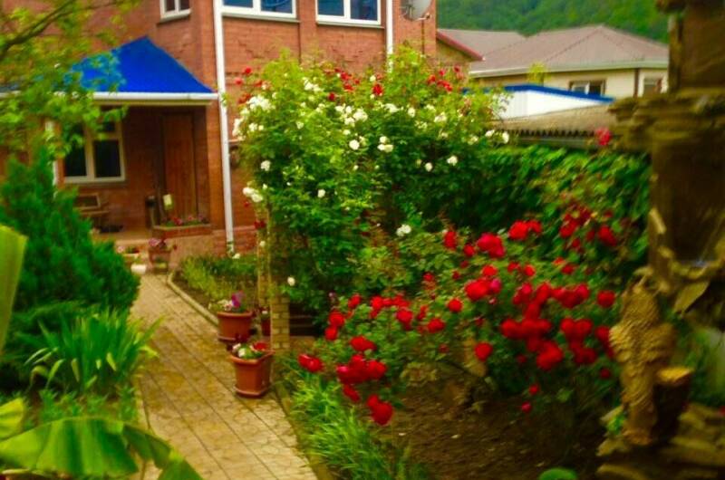 Гостевой дом «У Дмитрия»