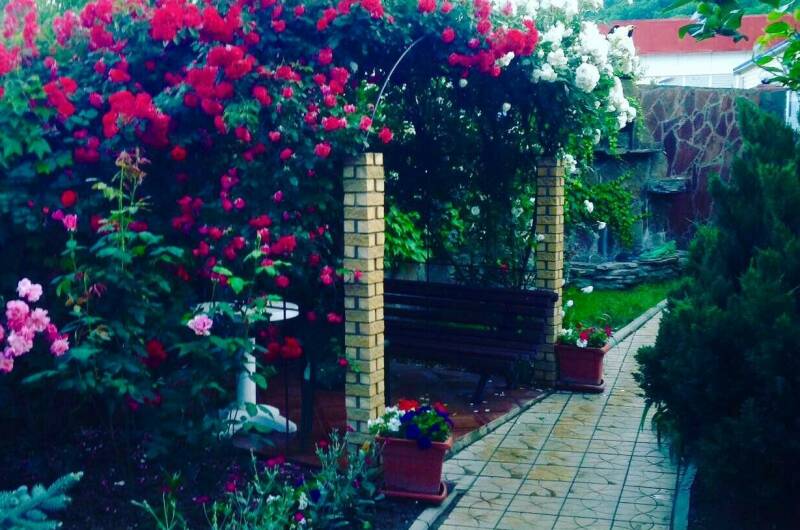 Гостевой дом «У Дмитрия»