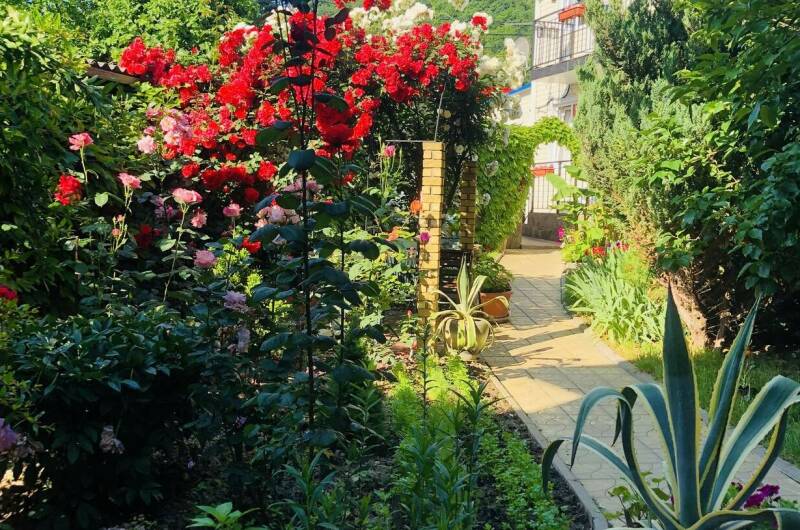 Гостевой дом «У Дмитрия»