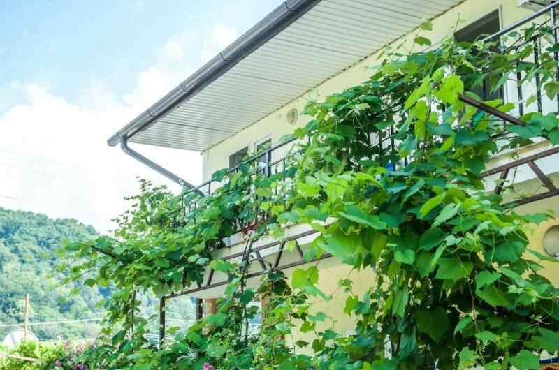 Гостевой дом «Приморский»