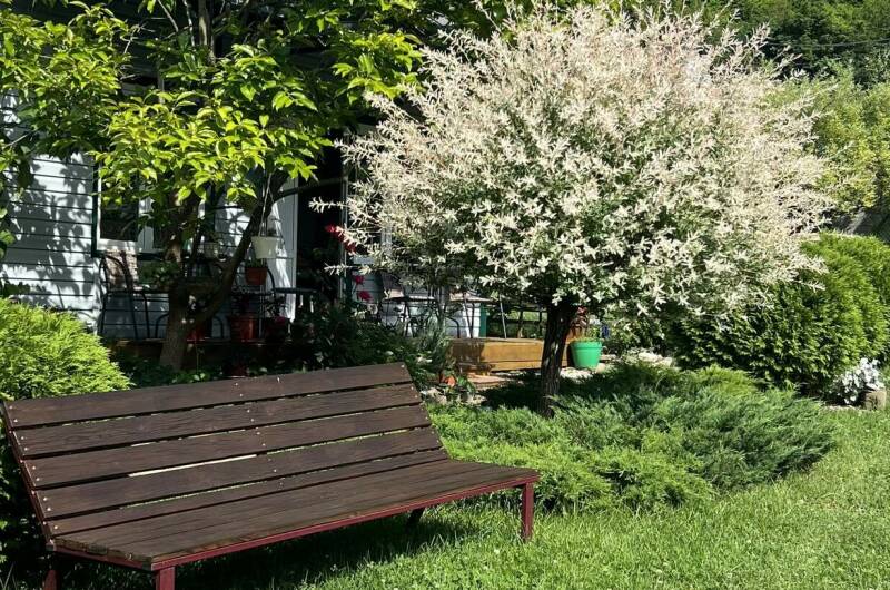 Гостевой дом «У Вероники»