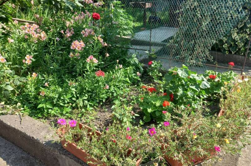 Гостевой дом «У Ларисы»