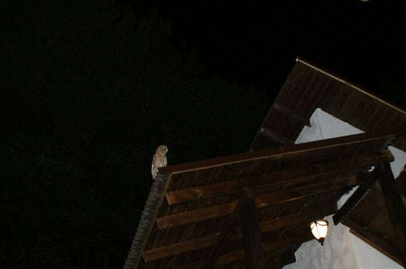 Гостевой дом «Икобаи»