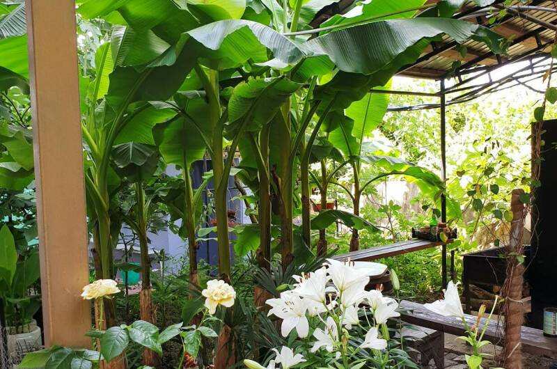 Гостевой дом «Аида»