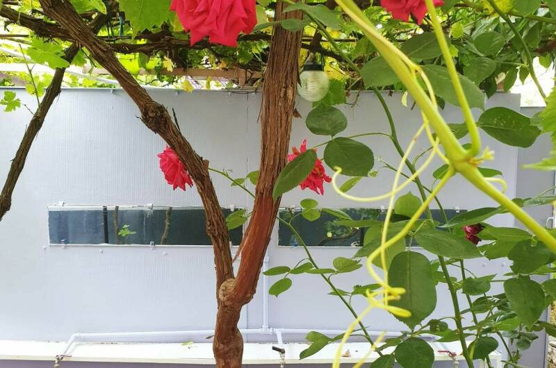 Гостевой дом «Аида»