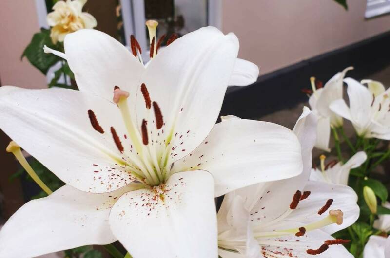 Гостевой дом «Аида»