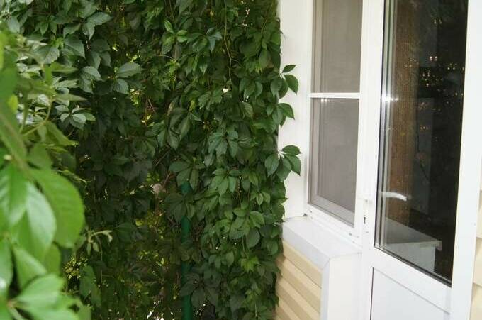 Гостевой дом «Арина»