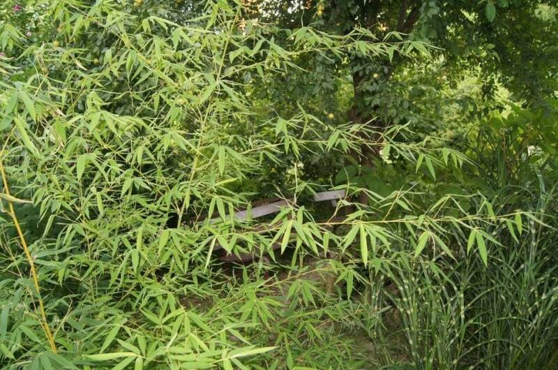 Гостевой дом «Арина»