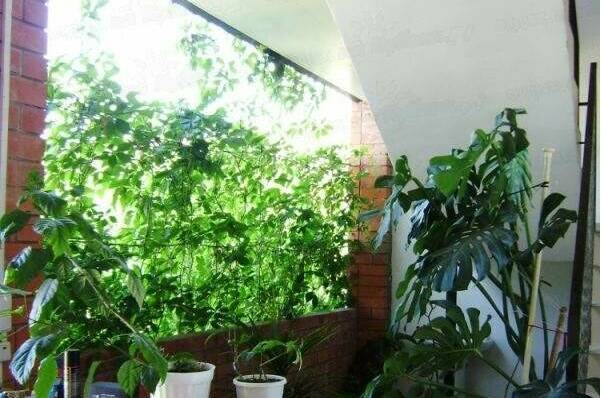 Гостевой дом «Арина»