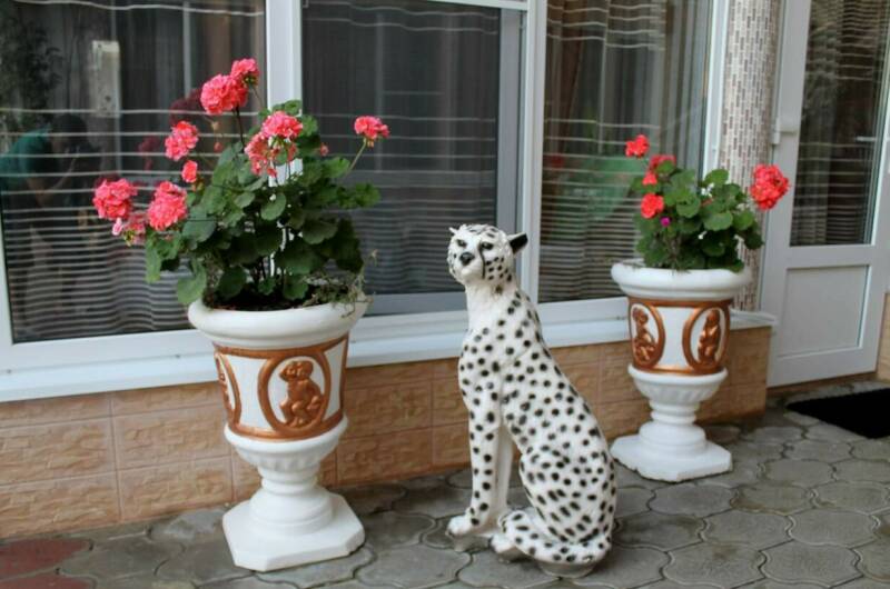 Гостевой дом «Оазис»