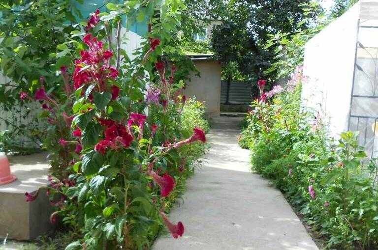 Гостевой дом «У тети Аси»