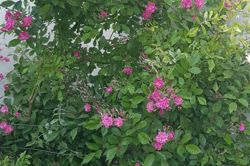 Гостевой дом «Бумеранг»