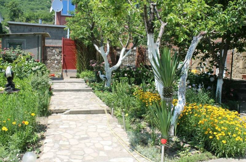 Гостевой дом «Дав-Руд»