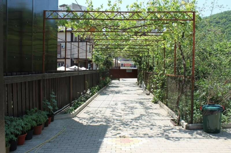 Гостевой дом «Дав-Руд»