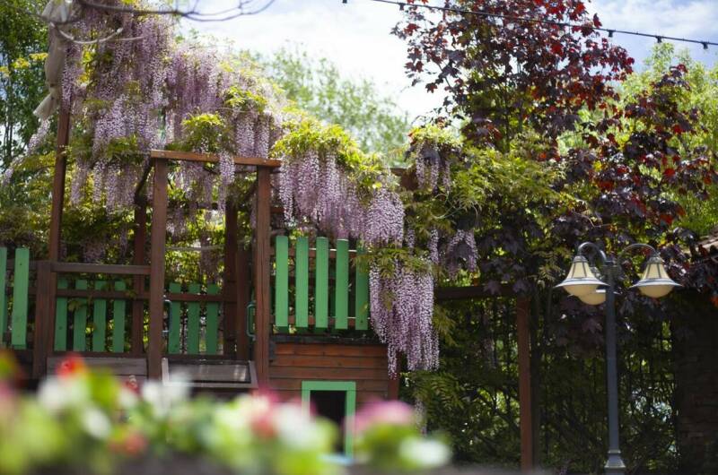 Гостиница «Tortuga»