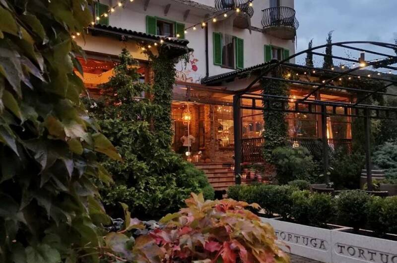 Гостиница «Tortuga»