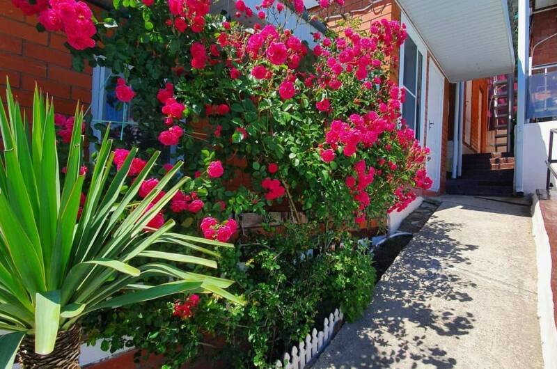 Гостевой комплекс «Солнечный Эдем»