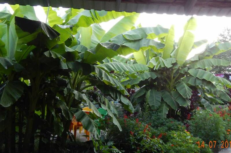 Гостевой дом на Почтовом переулке