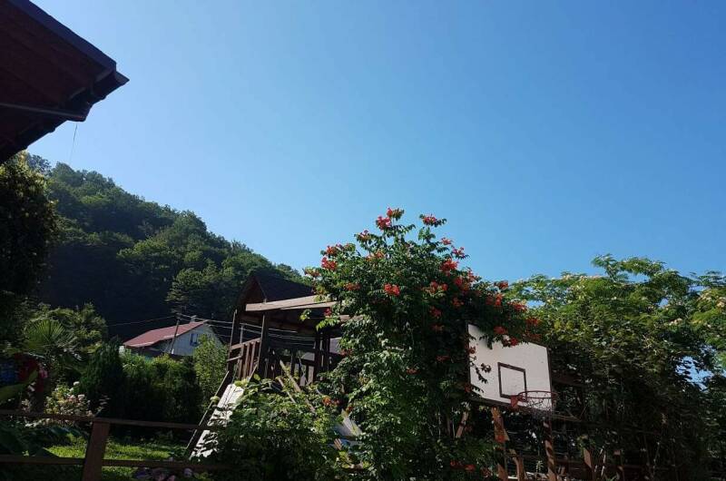 Частное домовладение «Дионис»