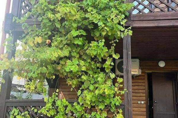 Гостевой дом «Ежевика»