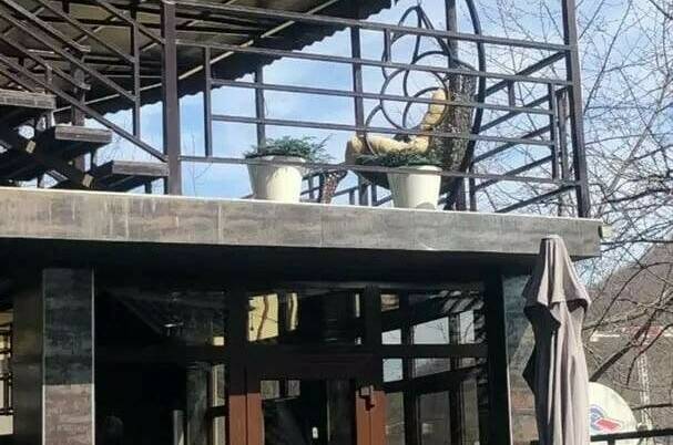 Отель «Султан»