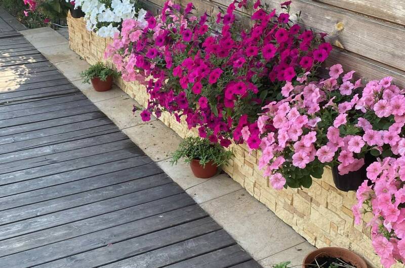 Гостевой дом «Лесная Поляна»