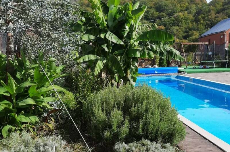 Гостевой дом «Лесная Поляна»