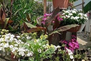 Изображение Ольгинки #5