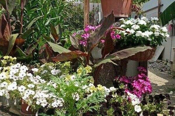 Гостевой дом «Людмила»