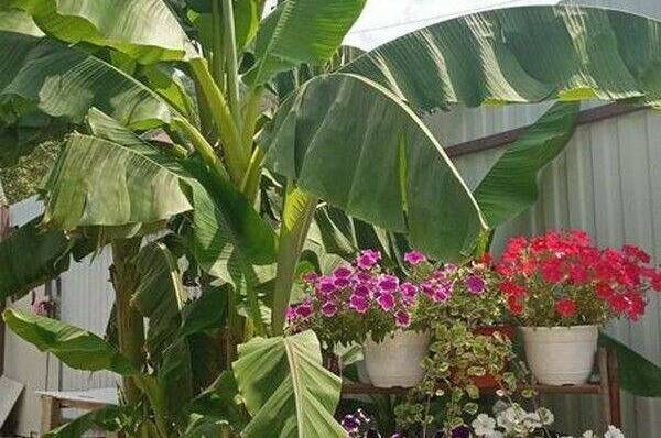 Гостевой дом «Людмила»