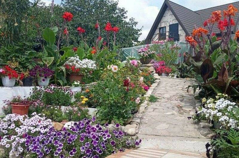 Гостевой дом «Людмила»