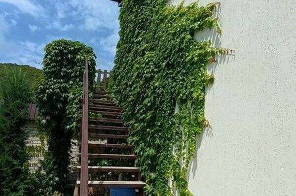 Гостевой дом «Людмила»