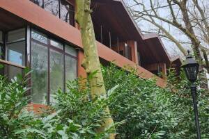 Изображение База отдыха «Жемчужина Кавказа» #4