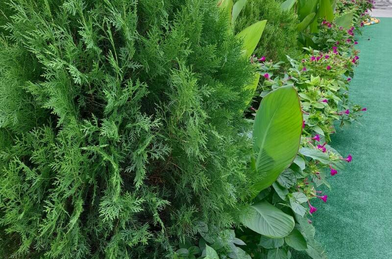 Гостевой дом «Семейный»