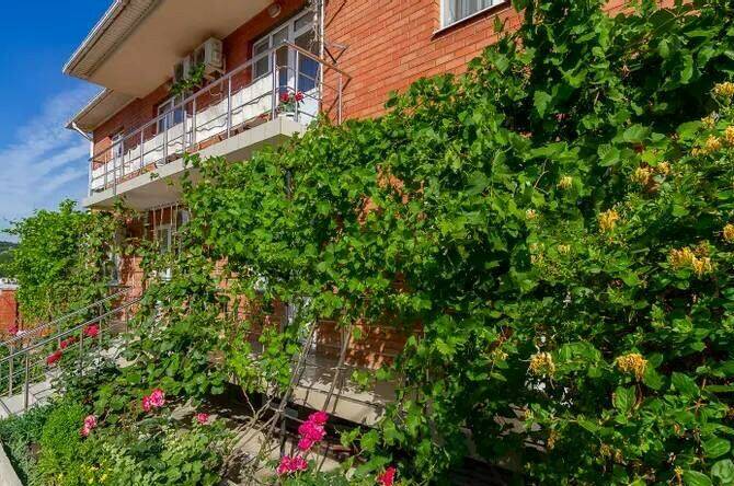 Гостевой дом «Роза»