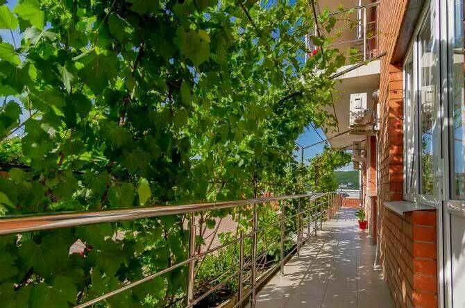 Гостевой дом «Роза»