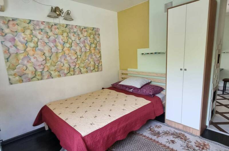 Студии и дом под ключ ГК «Шепот бамбука»