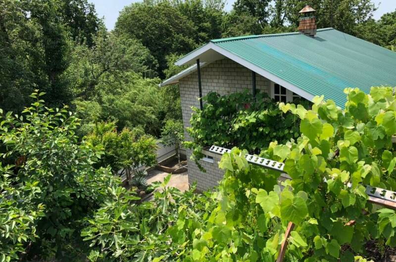 Студии и дом под ключ ГК «Шепот бамбука»