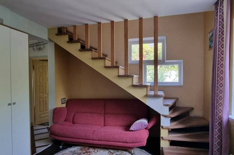 Студии и дом под ключ ГК «Шепот бамбука»