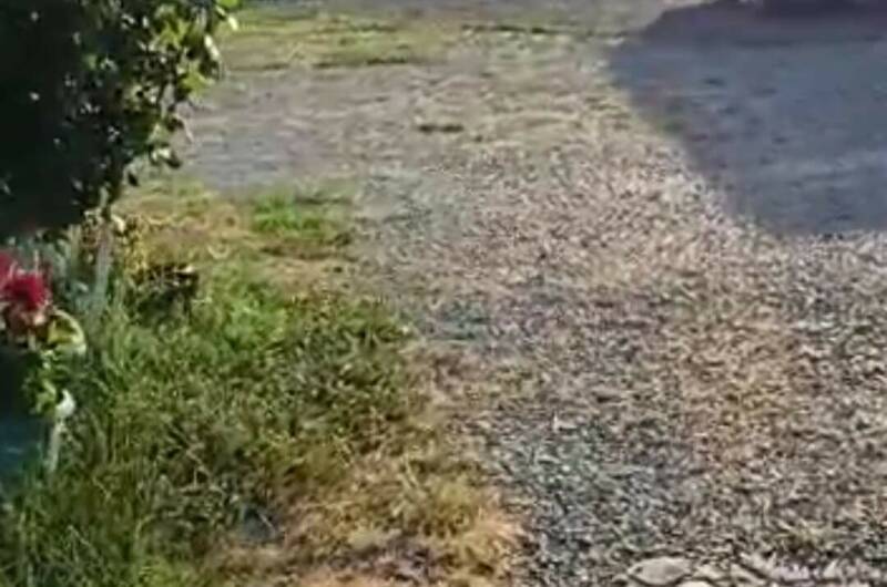 Гостевой дом «Море зовёт»